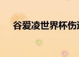 谷爱凌世界杯伤退 具体怎么样好好养伤