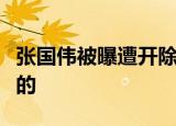 张国伟被曝遭开除是真的吗张国伟是怎么回应的