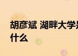 胡彦斌 湖畔大学是怎么回事具体事情经过是什么