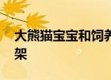 大熊猫宝宝和饲养员吵架全过程 因为什么吵架