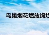 鸟巢烟花燃放绚烂刷屏 庆祝成立100周年