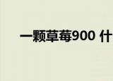 一颗草莓900 什么品种的草莓长什么样