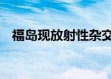 福岛现放射性杂交野猪 放射性元素已超标