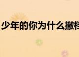 少年的你为什么撤档了少年的你撤档什么原因