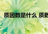 质因数是什么 质数是什么意思【数学知识】