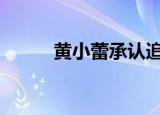 黄小蕾承认追过大张伟 具体详情