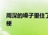 周深的嗓子里住了几个人 这是什么意思什么梗