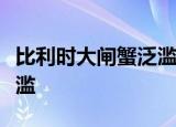 比利时大闸蟹泛滥是什么原因导致为什么会泛滥