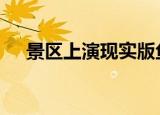 景区上演现实版鱼跃龙门 场面尤其壮观