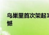 鸟巢里首次架起180米超大屏幕 场面令人震憾