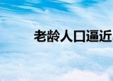 老龄人口逼近3亿 这意味着什么呢