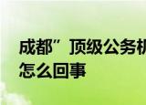 成都”顶级公务机被击穿”原因查明 具体是怎么回事