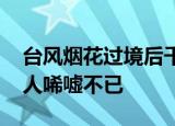 台风烟花过境后千米江堤变垃圾堆场 景象令人唏嘘不已