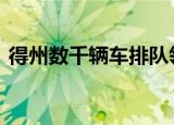 得州数千辆车排队领取救济粮 这是什么场面