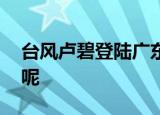 台风卢碧登陆广东 沿海一带将受到什么影响呢