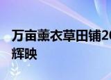 万亩薰衣草田铺2000平米党旗 紫色花海与红辉映
