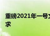 重磅2021年一号文件发布 文件提出了哪些要求