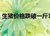 生猪价格跌破一斤10元 猪价走势将如何发展