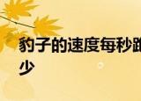 豹子的速度每秒跑多少米 豹子最快速度是多少
