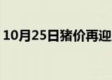 10月25日猪价再迎上涨 目前猪价是什么情况