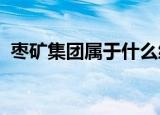 枣矿集团属于什么级别单位具体的资料简介