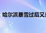 哈尔滨暴雪过后又来冻雨 具体天气情况如何
