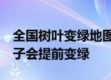 全国树叶变绿地图出炉 气温升高 预计今年叶子会提前变绿