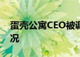 蛋壳公寓CEO被调查 原因是什么目前什么情况