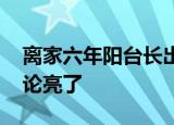 离家六年阳台长出两棵大树 怎么回事网友评论亮了