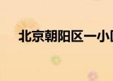 北京朝阳区一小区现疑似病例 具体详情