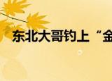 东北大哥钓上“金蟾抱鲤” 这是什么场面