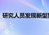 研究人员发现新型猪流感病毒 这是怎么回事