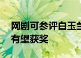 网剧可参评白玉兰 什么是白玉兰奖哪些网剧有望获奖