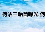 何洁三胎首曝光 何洁刁磊结婚了吗刁磊是谁