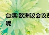 台媒:欧洲议会议员到台窜访 到底是什么情况呢