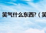 笑气什么东西?（笑气是什么东西 有什么用）