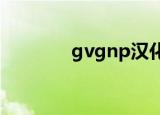 gvgnp汉化补丁（g网补丁）