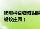 吃哪种食物对眼睛好蚂蚁庄园（以下哪种食物蚂蚁庄园）