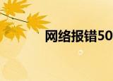 网络报错500（错误类型500）