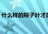 什么样的粽子叶才是最好的（什么样的粽子）