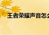 王者荣耀声音怎么设置（王者荣耀声音）