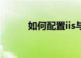 如何配置iis与sql（如何配置iis）