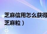 芝麻信用怎么获得芝麻粒（芝麻信用怎么获得芝麻粒）