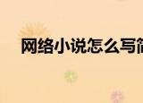 网络小说怎么写简介（网络小说怎么写）