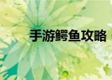 手游鳄鱼攻略（英雄联盟鳄鱼攻略）