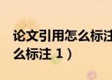 论文引用怎么标注1的字体大小（论文引用怎么标注 1）
