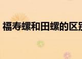 福寿螺和田螺的区别（福寿螺和田螺的区别）
