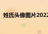 姓氏头像图片2022最新款免费（姓氏头像）