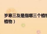 岁寒三友是指哪三个植物及象征意义（岁寒三友是指哪三个植物）