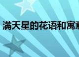 满天星的花语和寓意（满天星的花语和寓意）